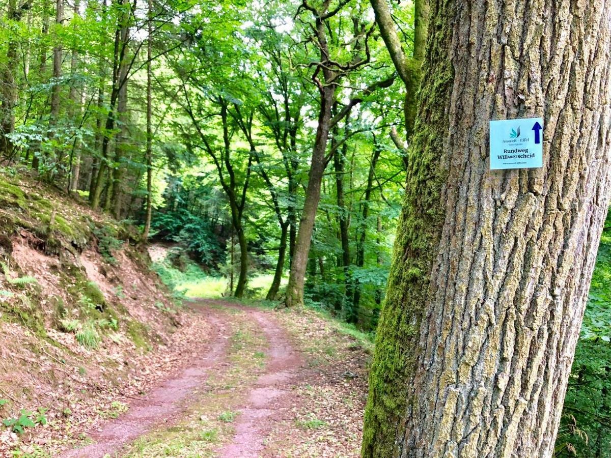Auszeit-Eifel Eifelhaus "Burgass 1807" Sauna & Badezuber Willwerscheid Eksteriør bilde